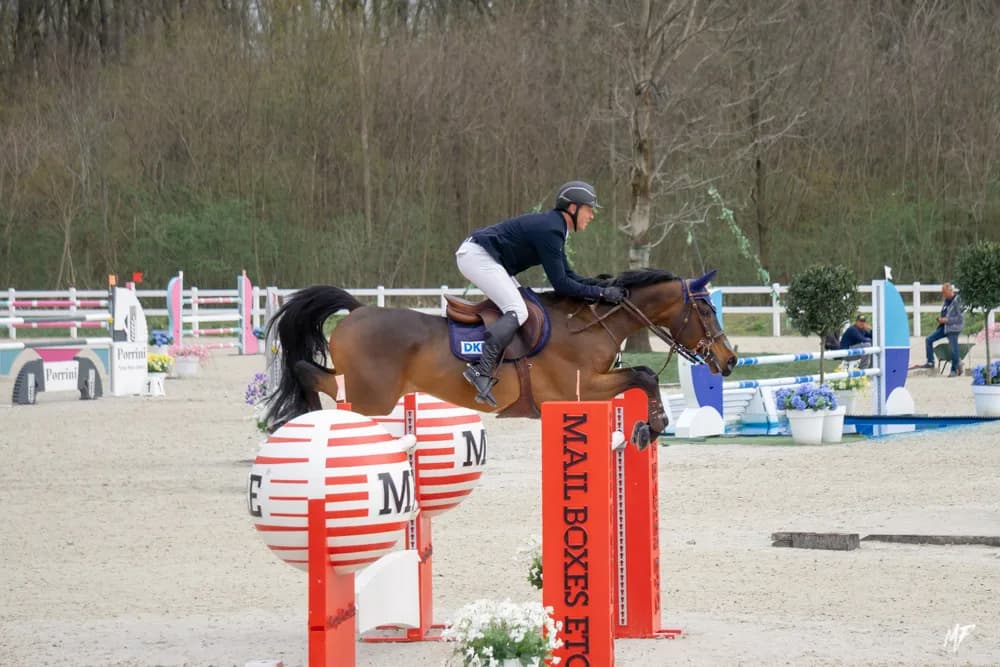 Equieffe CSI 4* — CSI-12