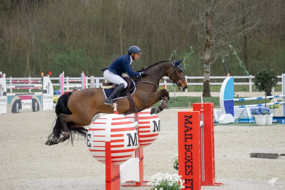 Equieffe CSI 4* — CSI-13