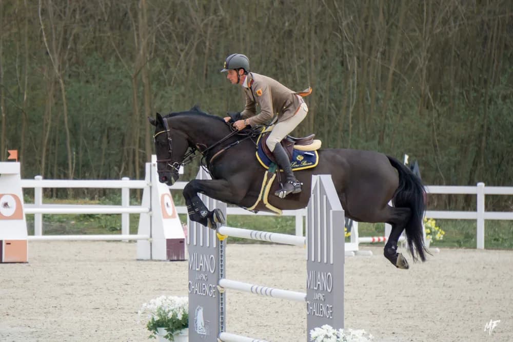 Equieffe CSI 4* — CSI-15