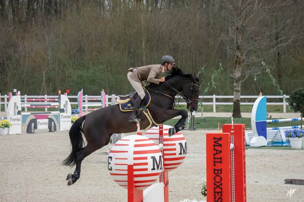 Equieffe CSI 4* — CSI-17