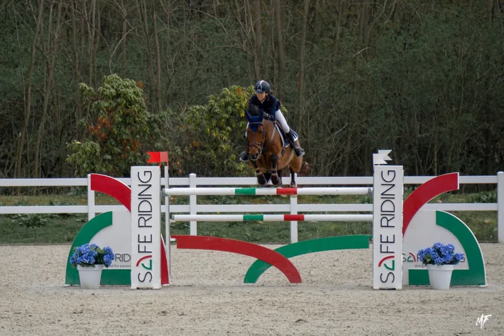 Equieffe CSI 4* — CSI-18