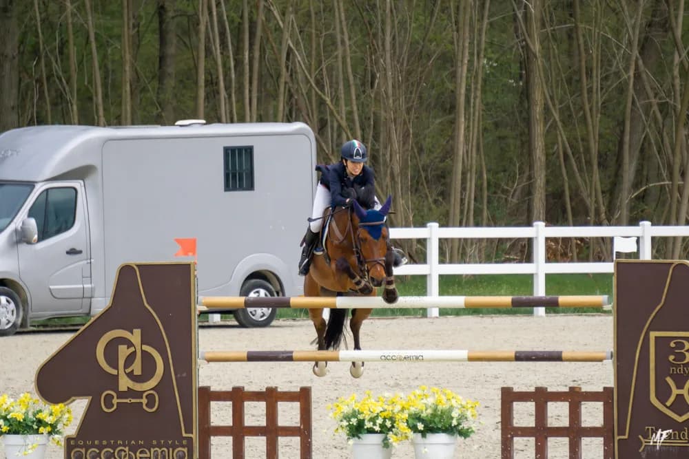 Equieffe CSI 4* — CSI-19