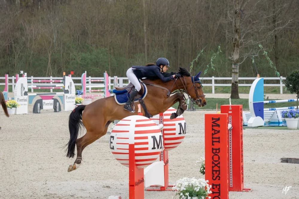 Equieffe CSI 4* — CSI-20