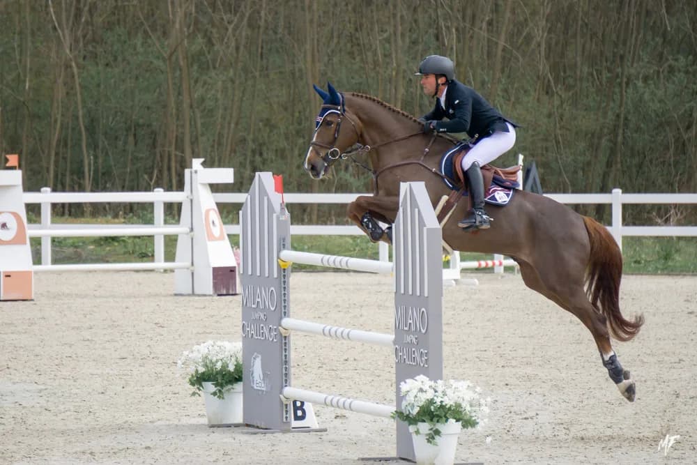 Equieffe CSI 4* — CSI-22