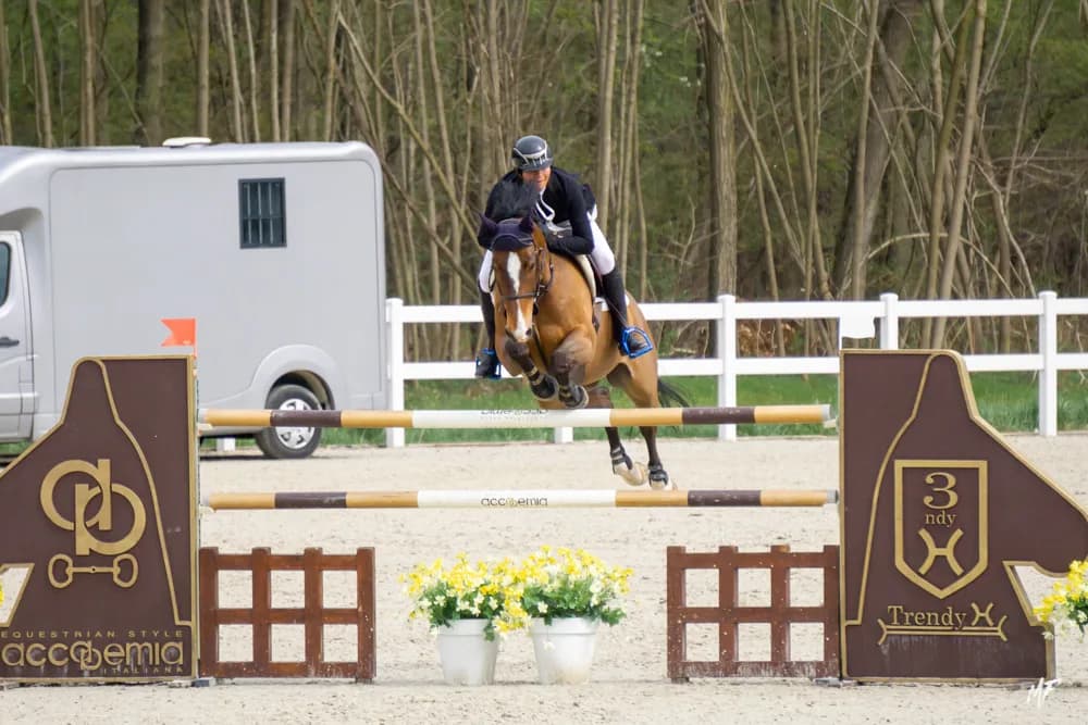 Equieffe CSI 4* — CSI-24