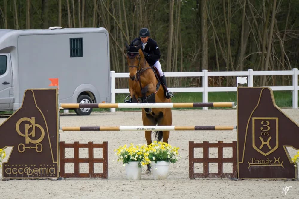 Equieffe CSI 4* — CSI-5