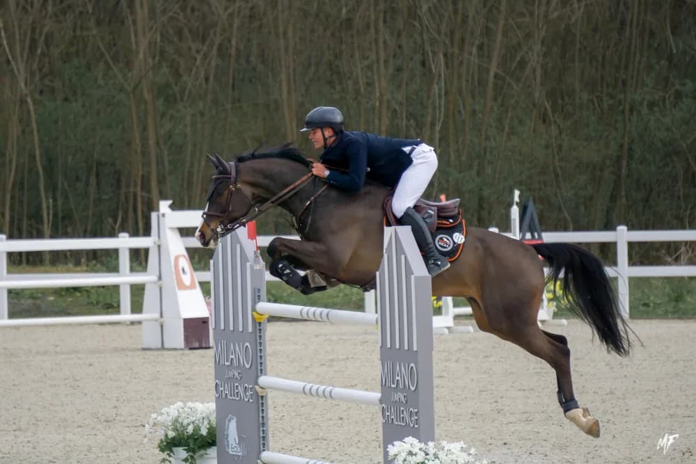 Equieffe CSI 4* — CSI-6