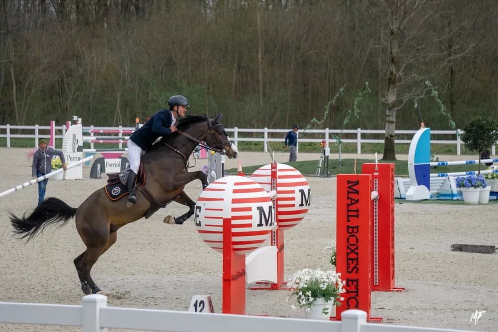 Equieffe CSI 4* — CSI-7