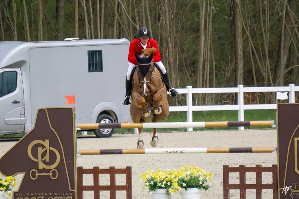 Equieffe CSI 4* — CSI-8