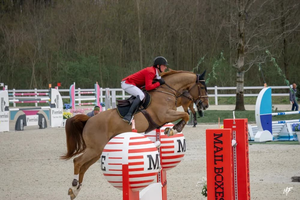 Equieffe CSI 4* — CSI-9
