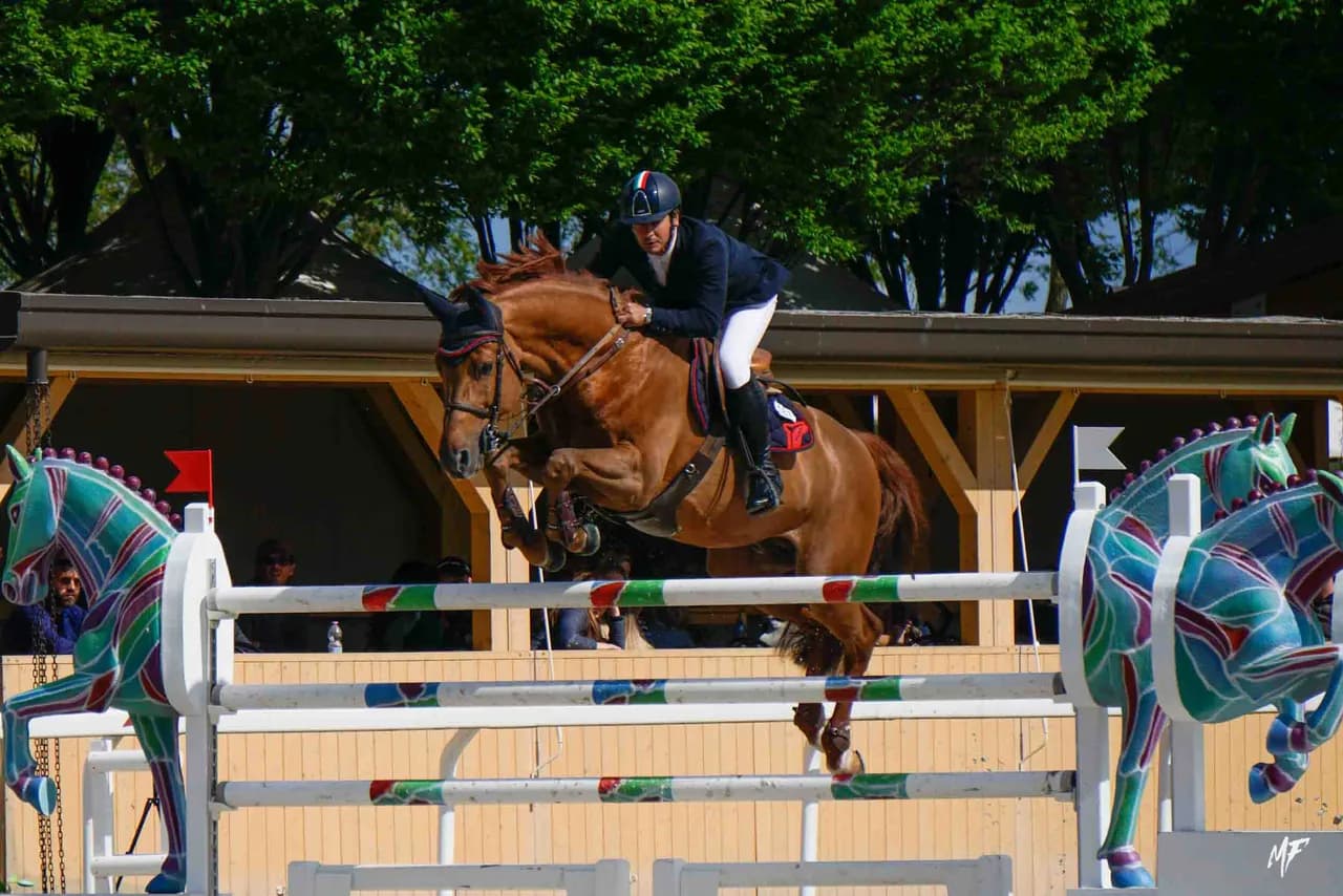 Etrea Sport Horses — Etrea-1