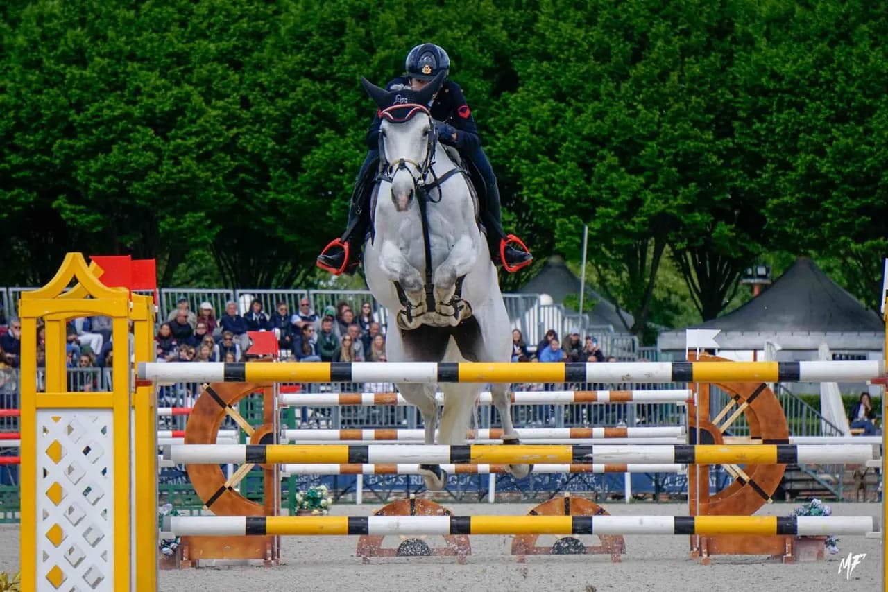 Etrea Sport Horses — Etrea-10