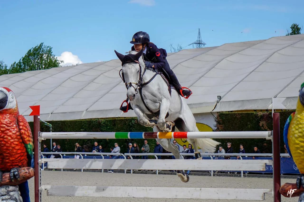 Etrea Sport Horses — Etrea-11