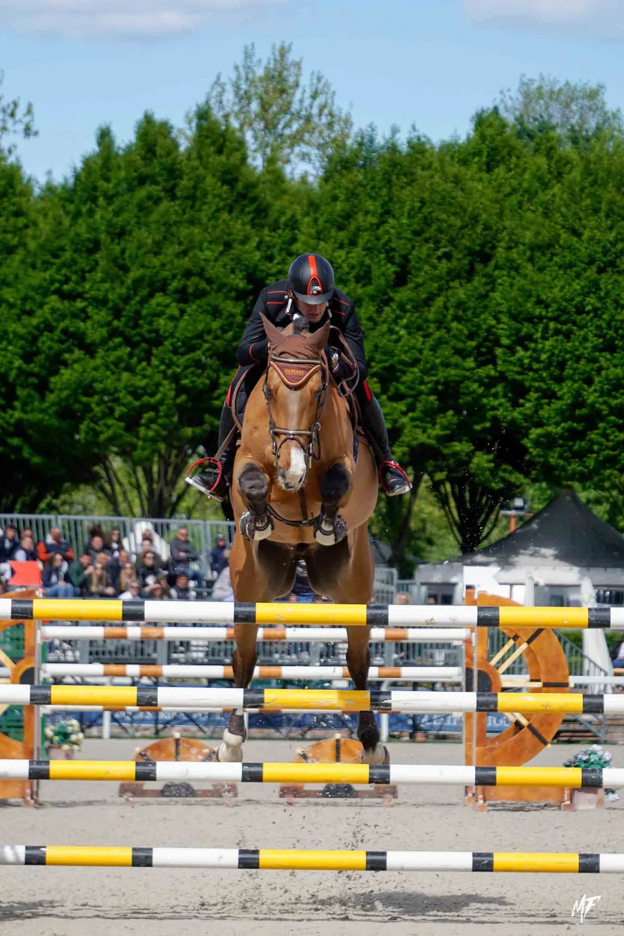 Etrea Sport Horses — Etrea-12