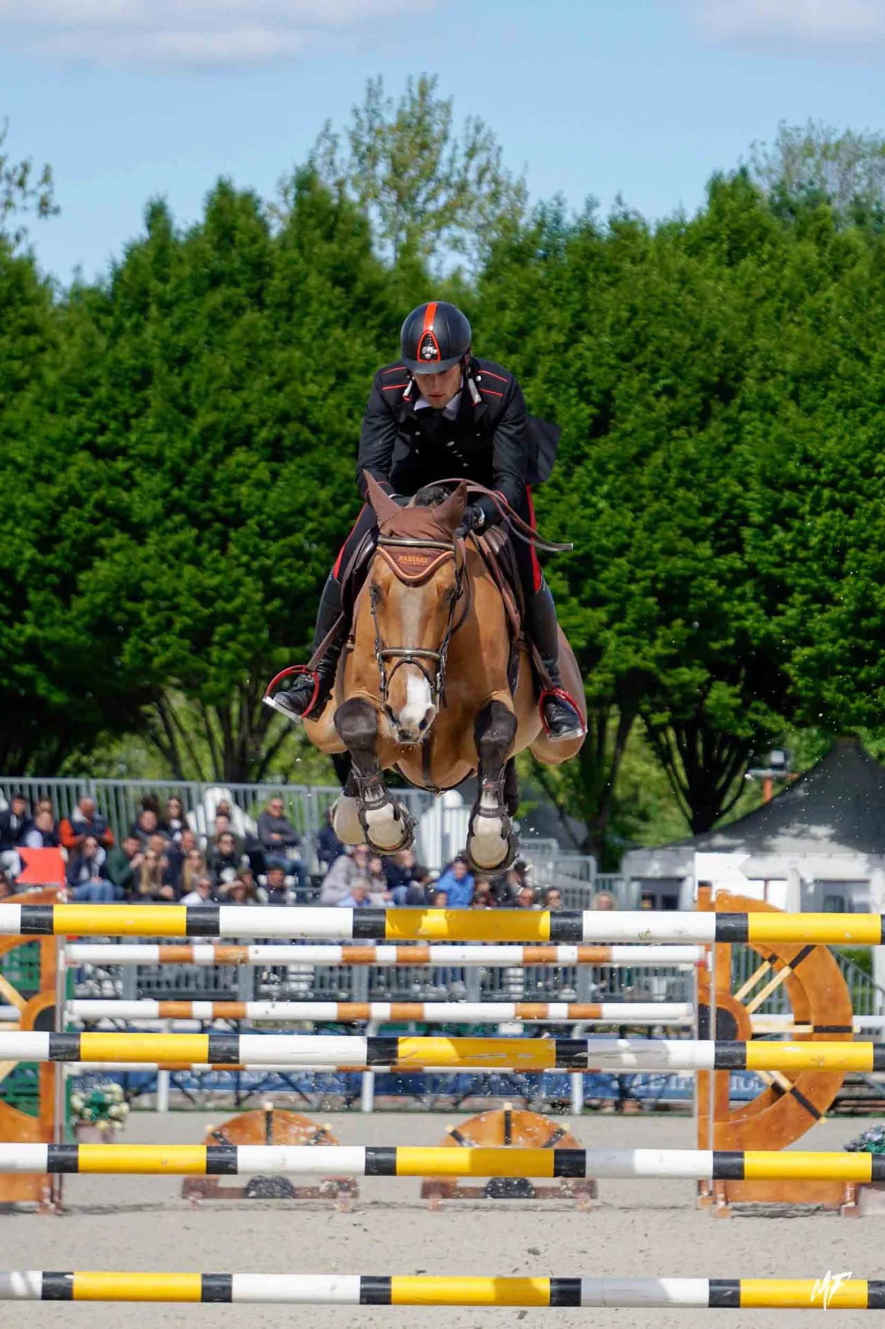 Etrea Sport Horses — Etrea-13