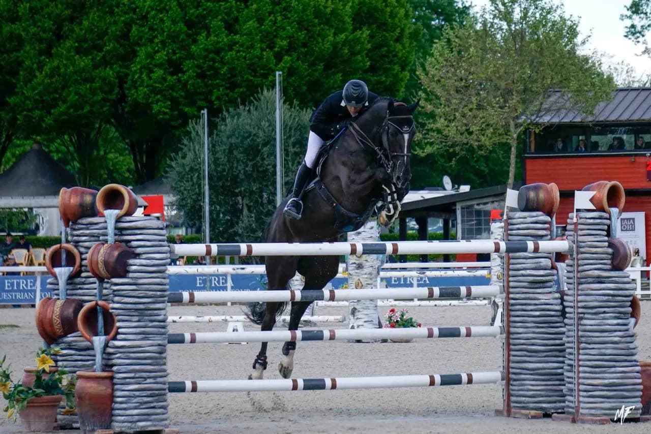 Etrea Sport Horses — Etrea-15