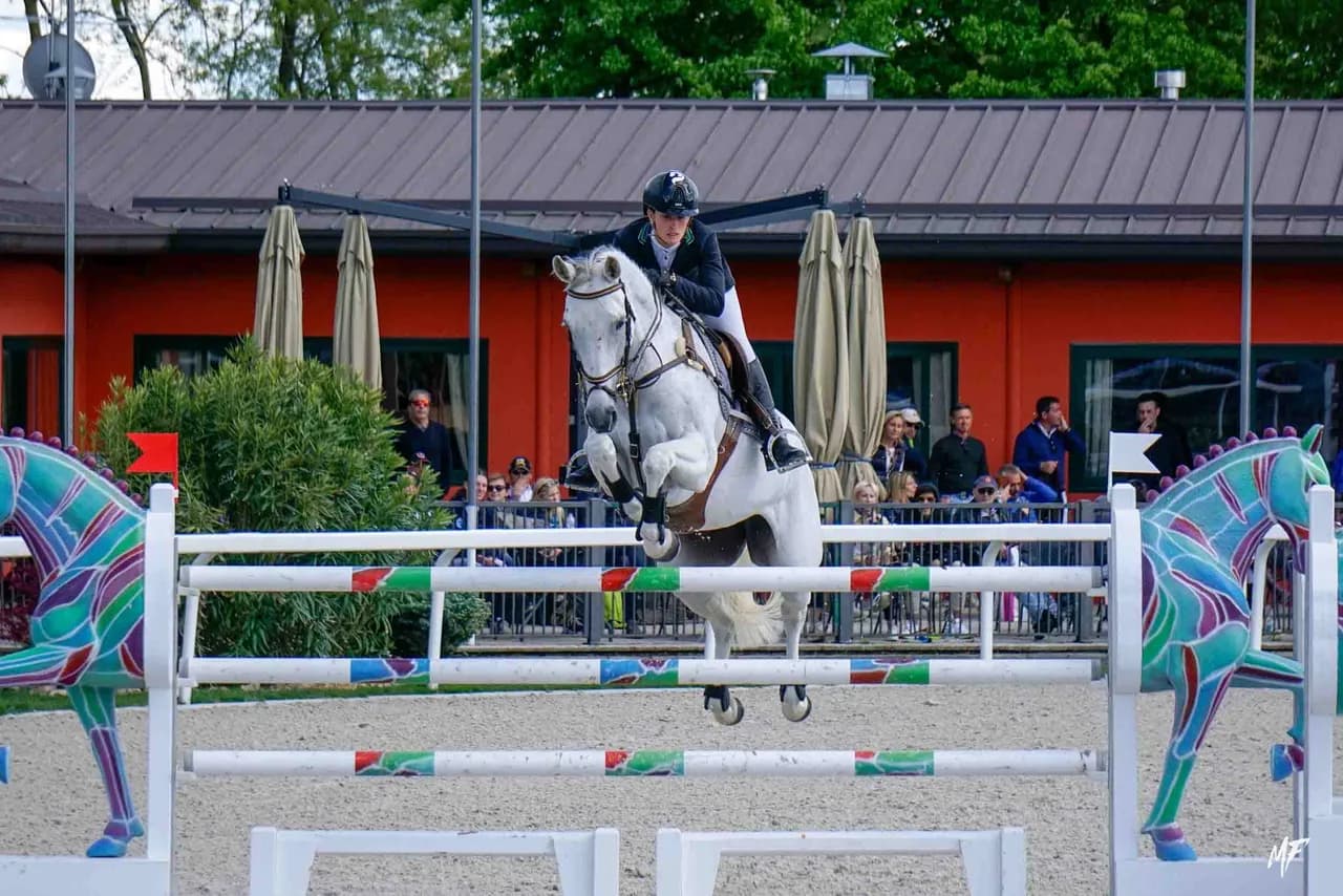 Etrea Sport Horses — Etrea-16