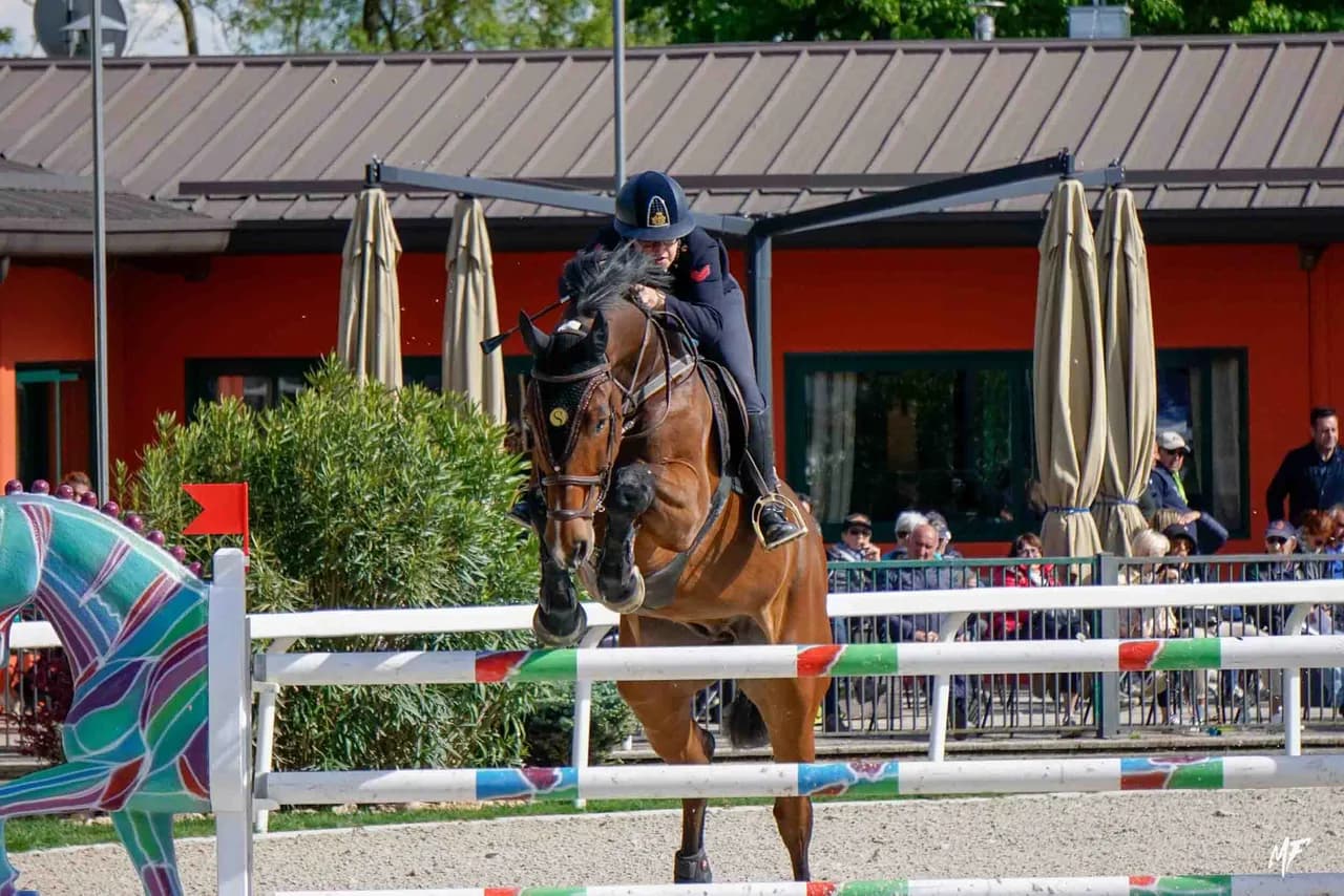 Etrea Sport Horses — Etrea-18