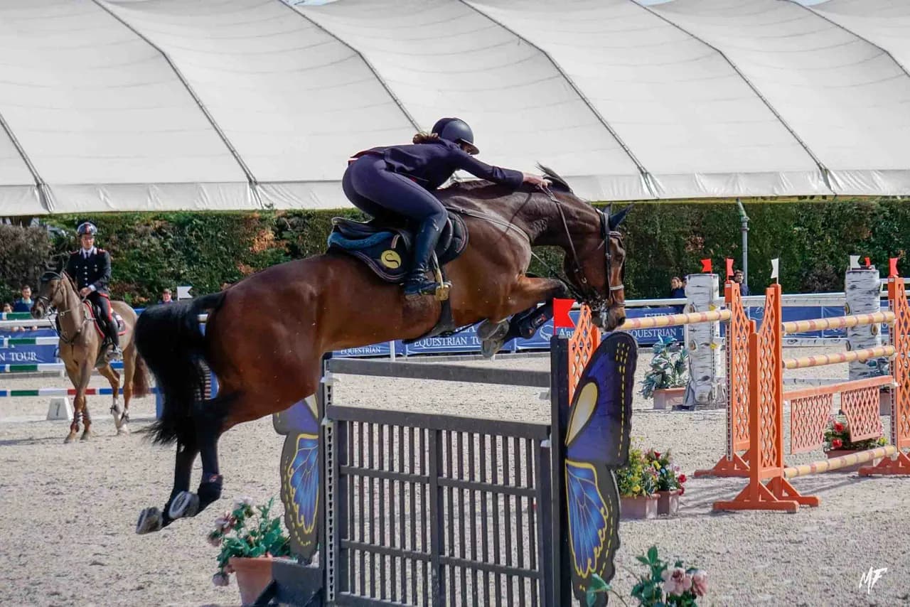 Etrea Sport Horses — Etrea-19