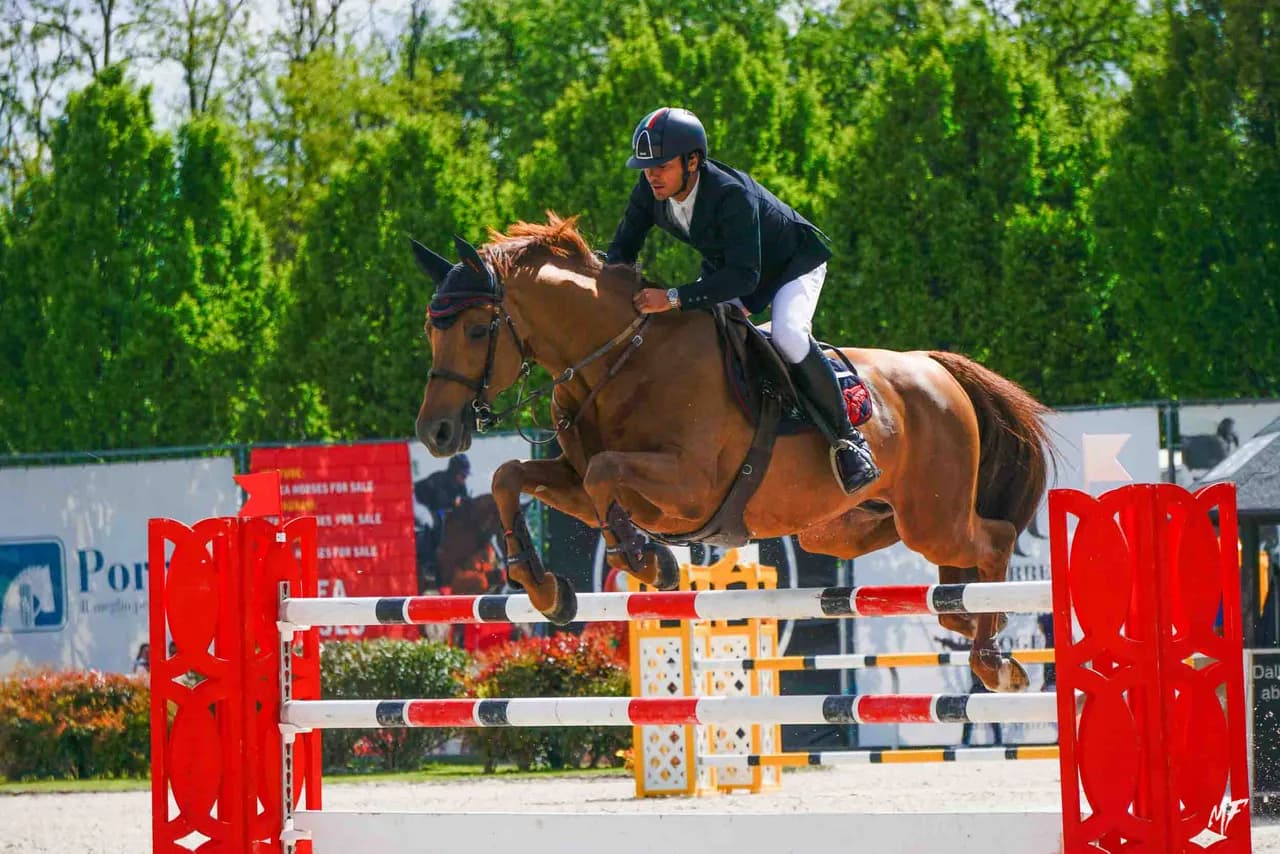 Etrea Sport Horses — Etrea-2