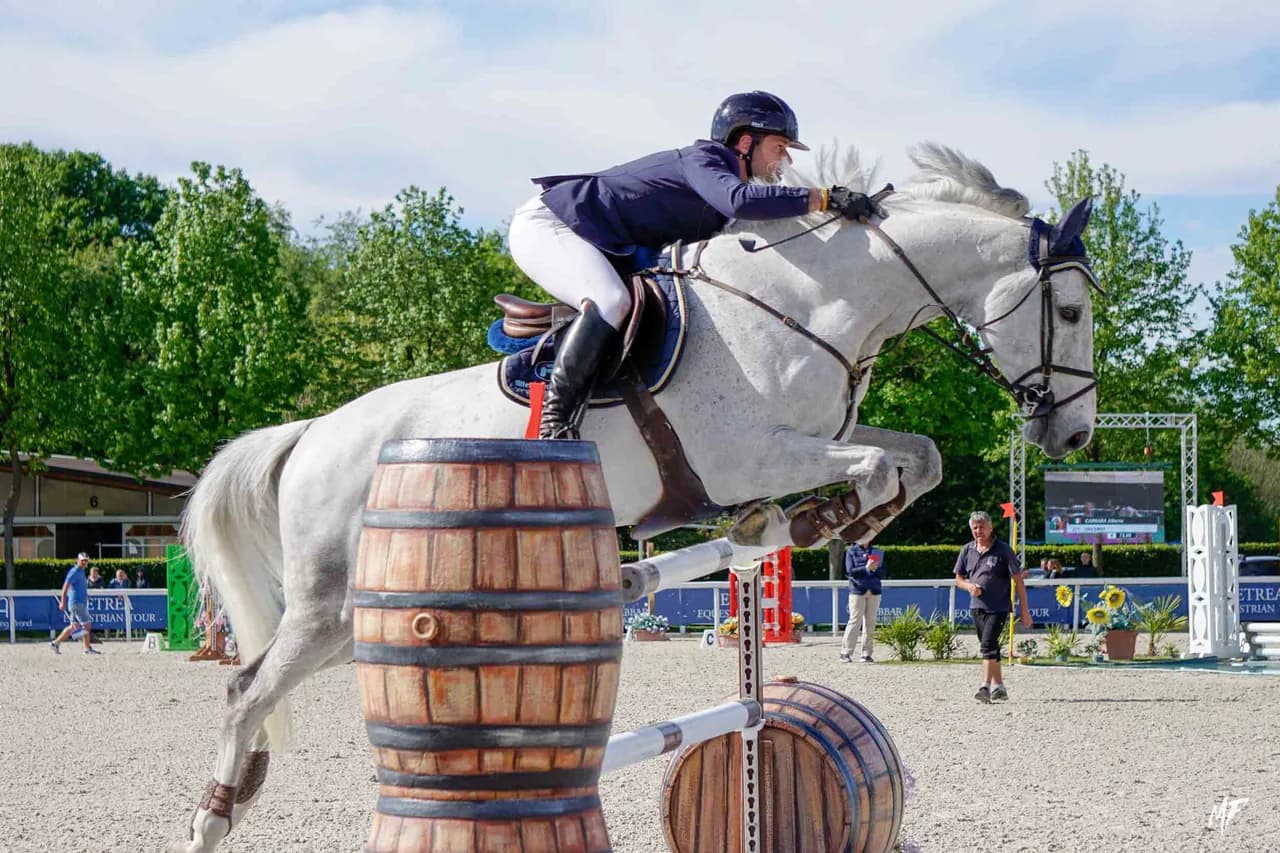 Etrea Sport Horses — Etrea-20