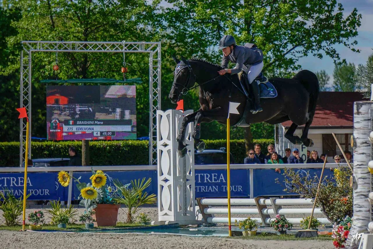Etrea Sport Horses — Etrea-21