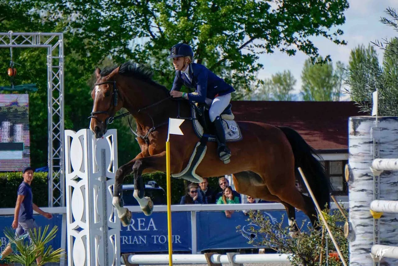 Etrea Sport Horses — Etrea-22
