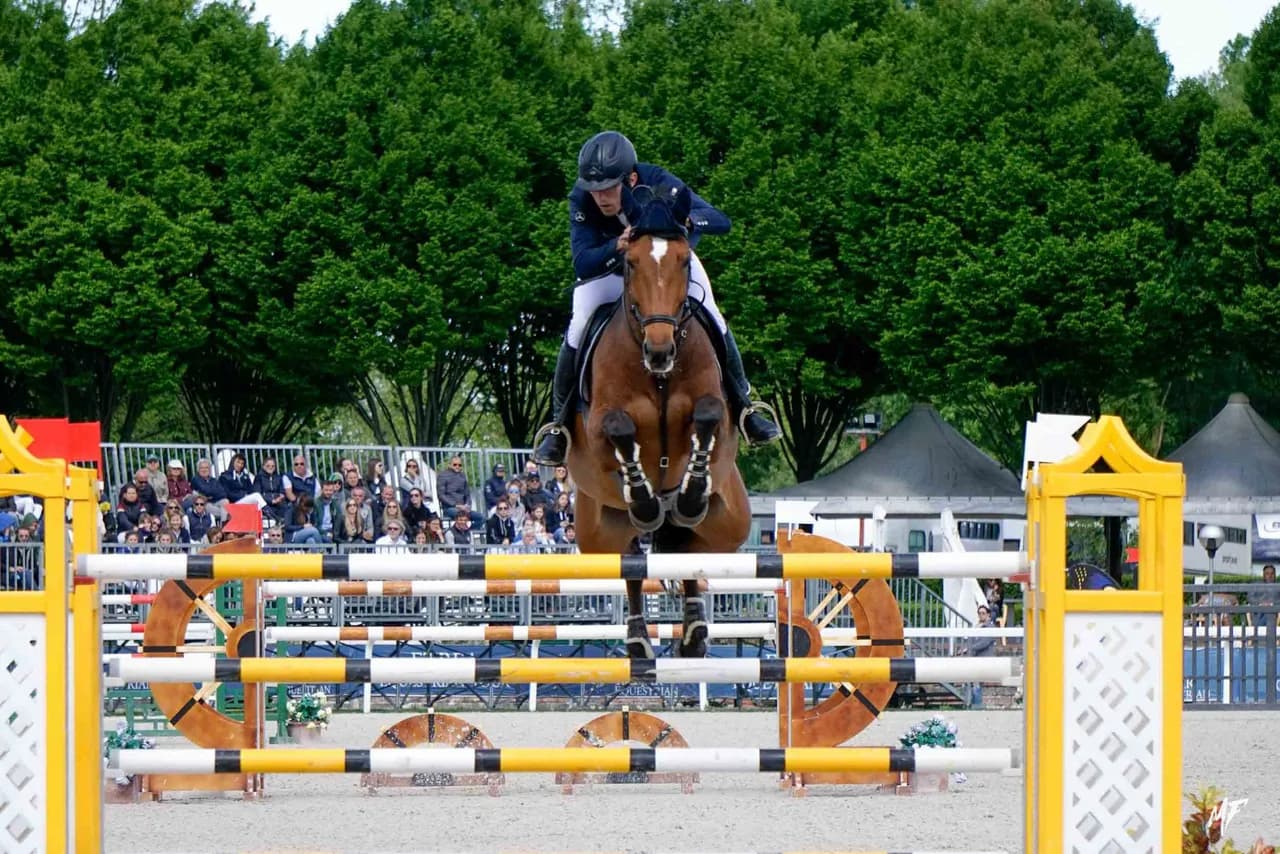 Etrea Sport Horses — Etrea-4