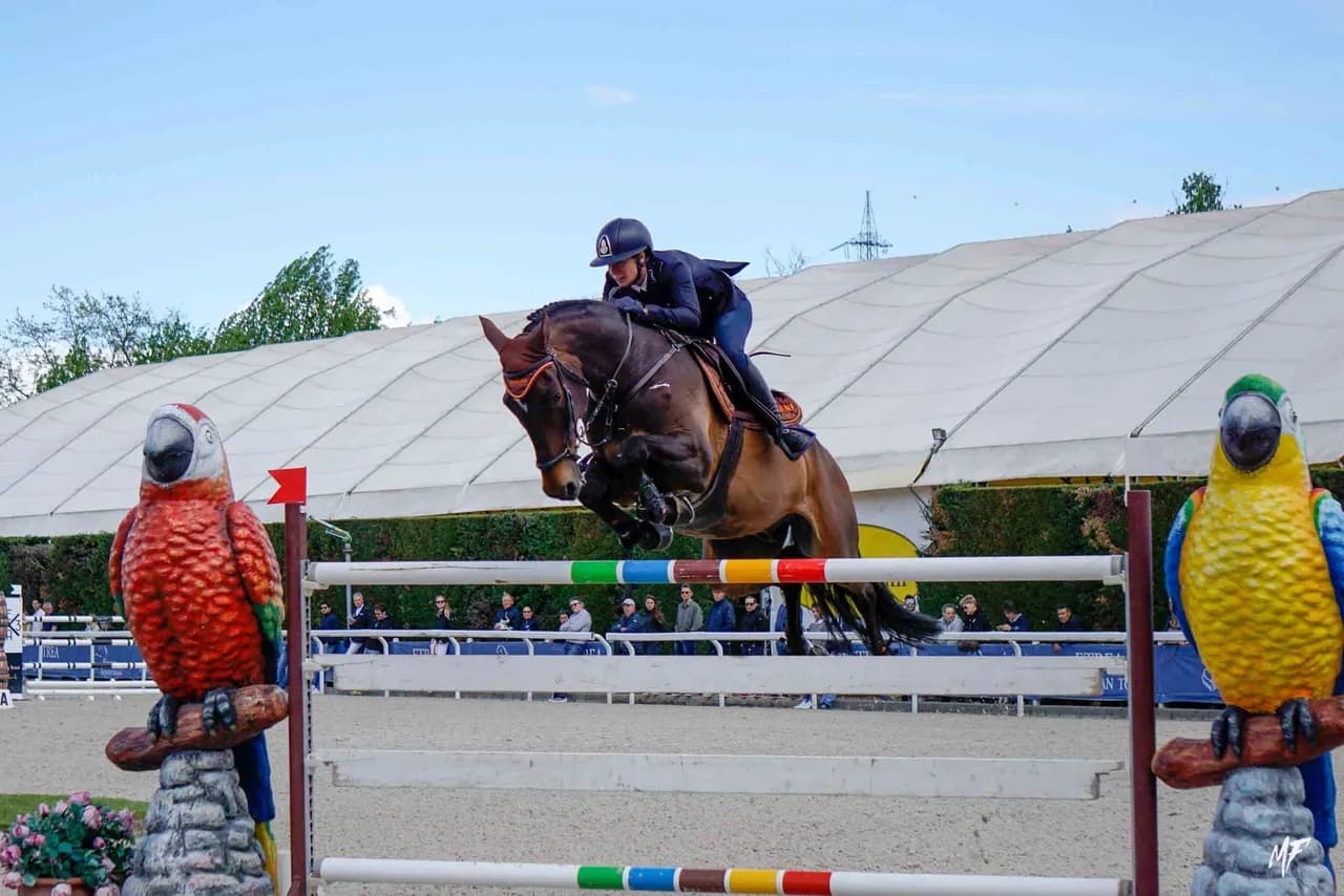 Etrea Sport Horses — Etrea-9