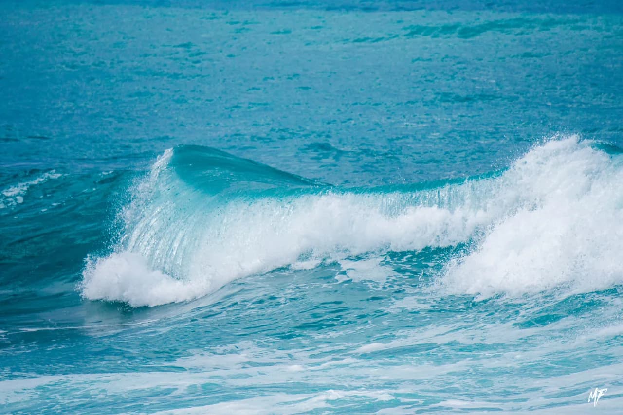 Sea — sea-3